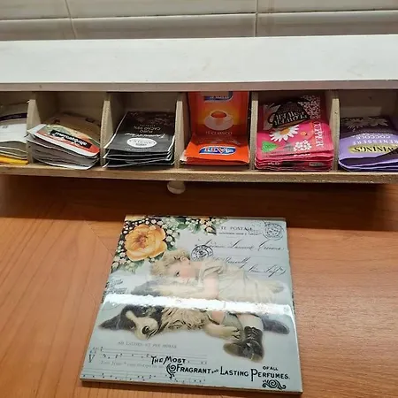 Guesthouse アパート ローマ